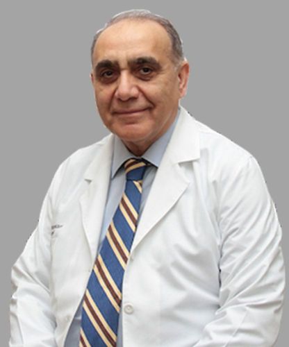 Prof. Dr. Nur Altınörs